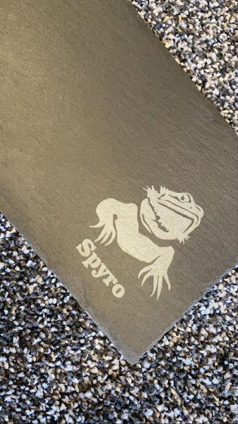 Bearded dragon personalised natural feeding slate